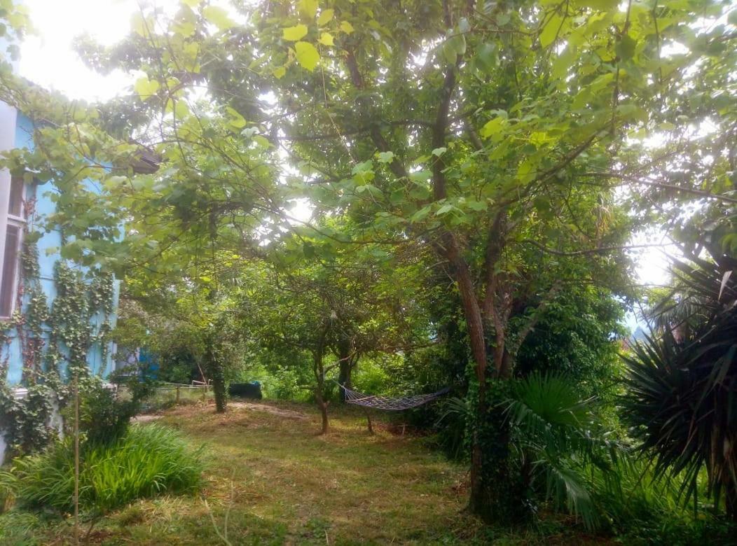 Guesthouse Eco Chakvi Esterno foto